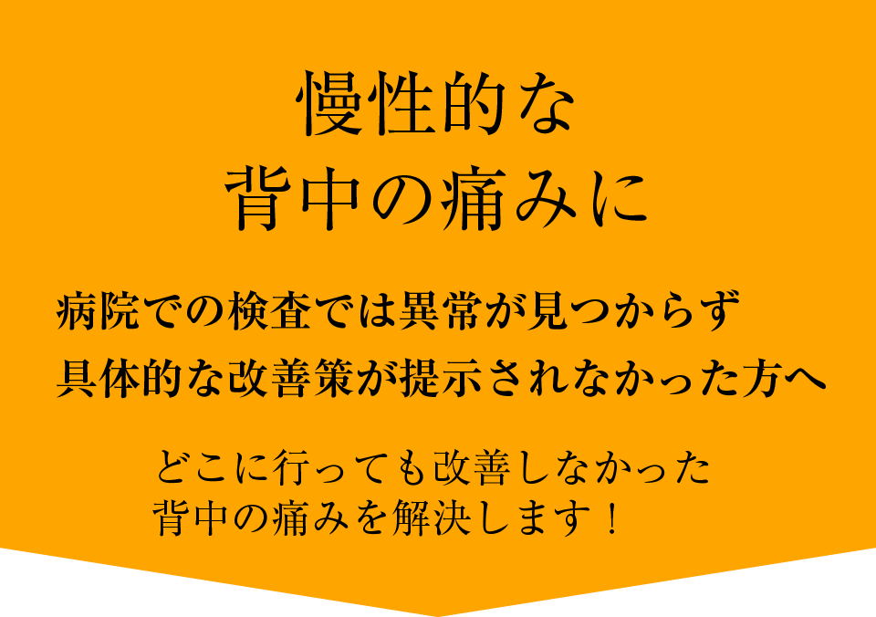 主な症状・疾患 | えびす接骨院